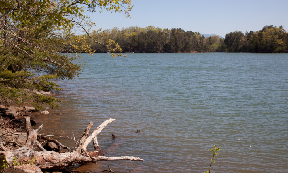 Lake Casa Blanca International State Park Laredo